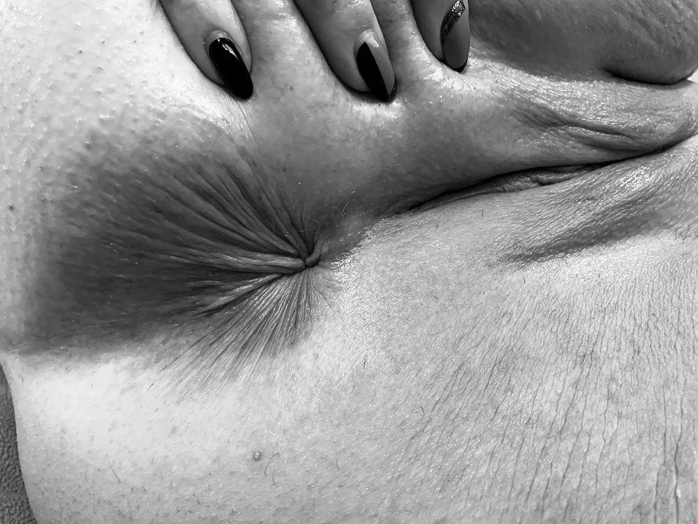 TheSphynx 9 TheSphynx 9