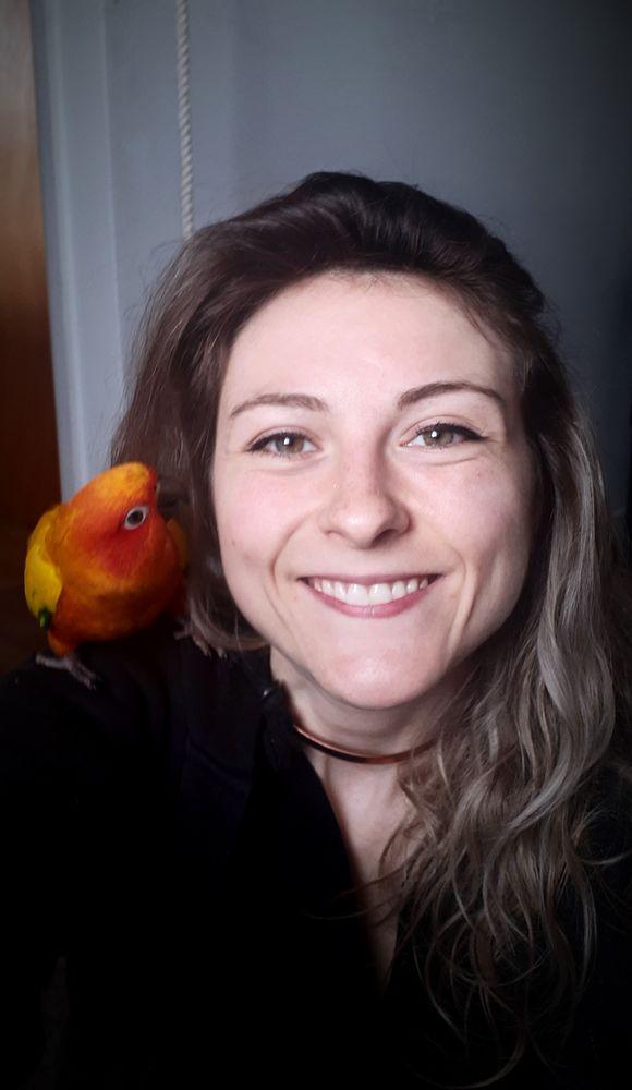 Playiingplugs 6 Playiingplugs 6